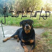 Kelly Wright's photo