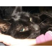 Sarah Conte's photo