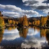 Tiffany Brown's photo
