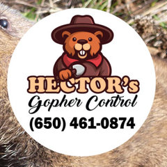 Hector's Gopher Contol in Palo Alto
