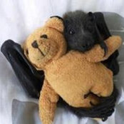 Allison McDonell's photo