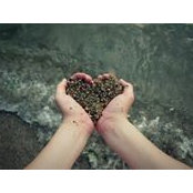 Maria Sarraff's photo