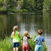 Cynthia Davis's photo