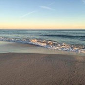 Wendy Wisdom's photo
