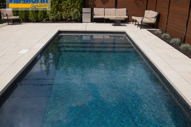 Pool - mid-sized modern backyard concrete paver and rectangular pool idea in Montreal