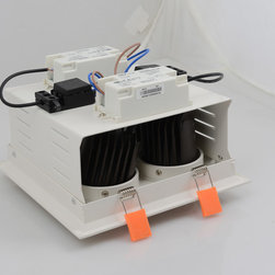 LED down light - Ceiling Lighting