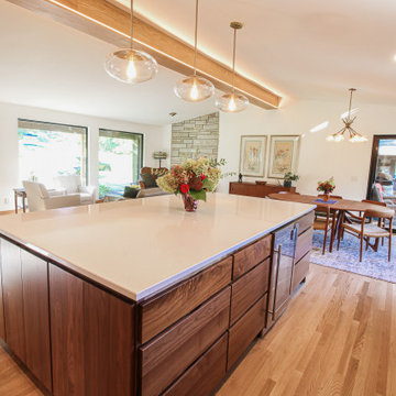 Middleton Mid Century Modern Remodel