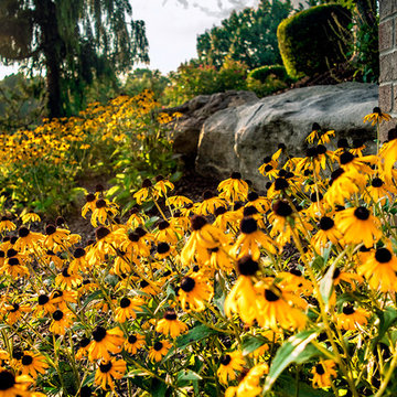 Beautiful landscape in Fox Chapel