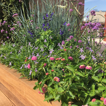Plant combinations