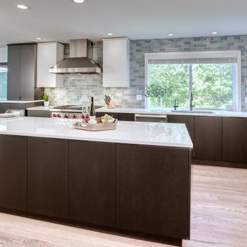 Sleek and Modern Cottage Lake Kitchen