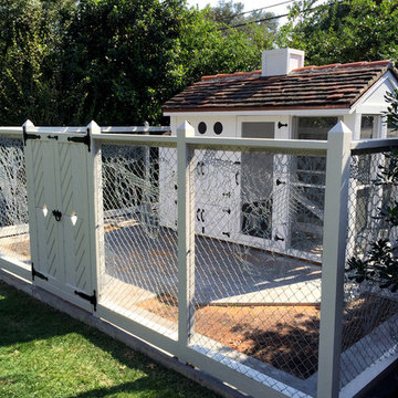 Chicken Coop