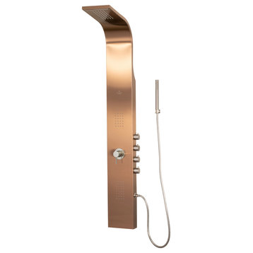 Santa Cruz ShowerSpa Brushed Bronze Stainless Steel Shower Panel