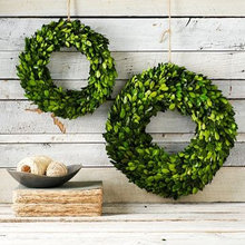 Guest Picks: 'Tis the Season for All Things Merry and Bright