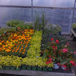 Inventory Samples - Gardening And Lawn Care