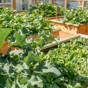 Vegetable Paradise