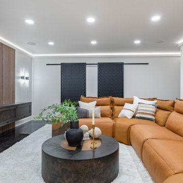 End Unit - Modern Transitional Luxury Rowhome | Heritage Place Naperville, IL