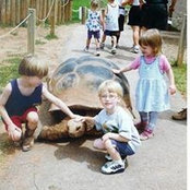 Foto von Susan Nelson