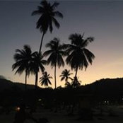 Foto von Peter Kline