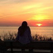 Melissa D'Arco's photo