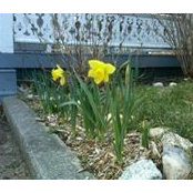 Scott Silvian's photo