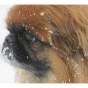 San Colechio's photo