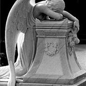 Georgie Lee's photo