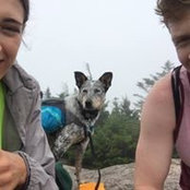 Sofia Fee's photo