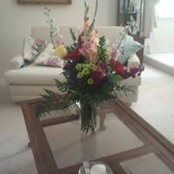Camille Doddridge's photo