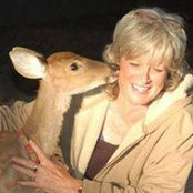 Janet Plave-Grossさんの写真