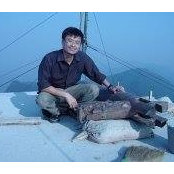 Vuong Huus billede