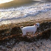 Julie Timmerman's photo