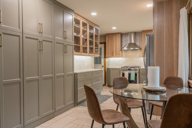 Mid-sized transitional galley eat-in kitchen photo in Other with shaker cabinets and quartz countertops