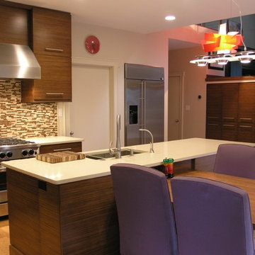 Contemporary Zebrawood Kitchen