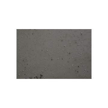 Betonoptik,Fugenlose Wände