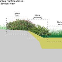 backyard slopes