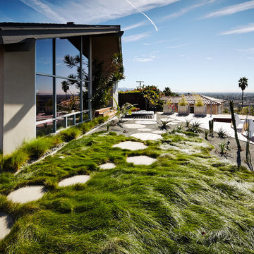 Mooch Designs - Midcentury Exterior Refresh