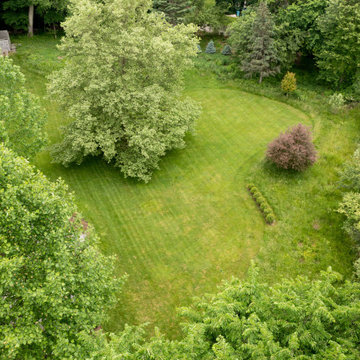 Mature Garden