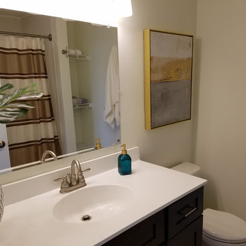 Plymouthtowne Apartment Models