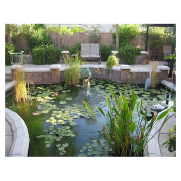 Mediterranean Garden