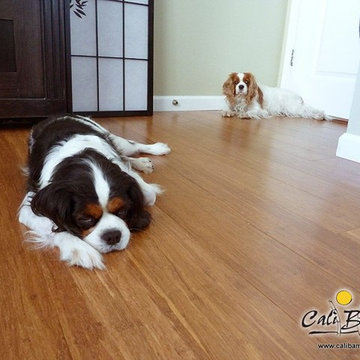 Mocha Fossilized® Bamboo Flooring