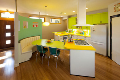 1950s home design photo in Austin