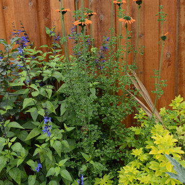 Raised Vegetable / Ornamental Garden