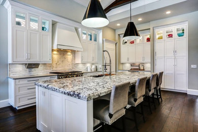 Kitchen - transitional kitchen idea in Miami