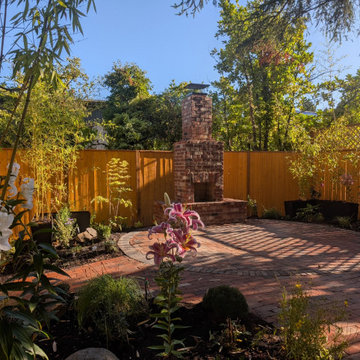South Seattle Backyard