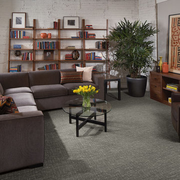 Modern Carpet | Karastan | Coles Fine Flooring