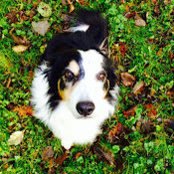 Kelly Snow's photo