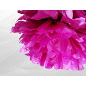 Irka Pompom-Fee's photo