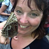Foto von Katy Wells