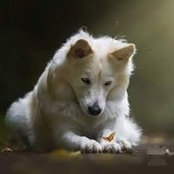 Carol Rutledge's photo