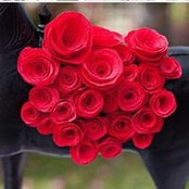 Tanya Chinchilla's photo